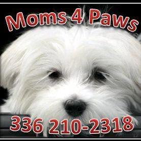 Moms4Paws logo